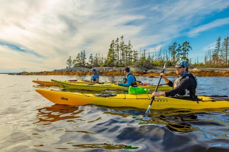 Nova Scotia: Guided Half-Day LaHave Islands Sea Kayak Tour - Final Thoughts