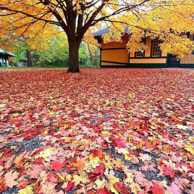 November Extended Weekends - Exploring the Historic Village