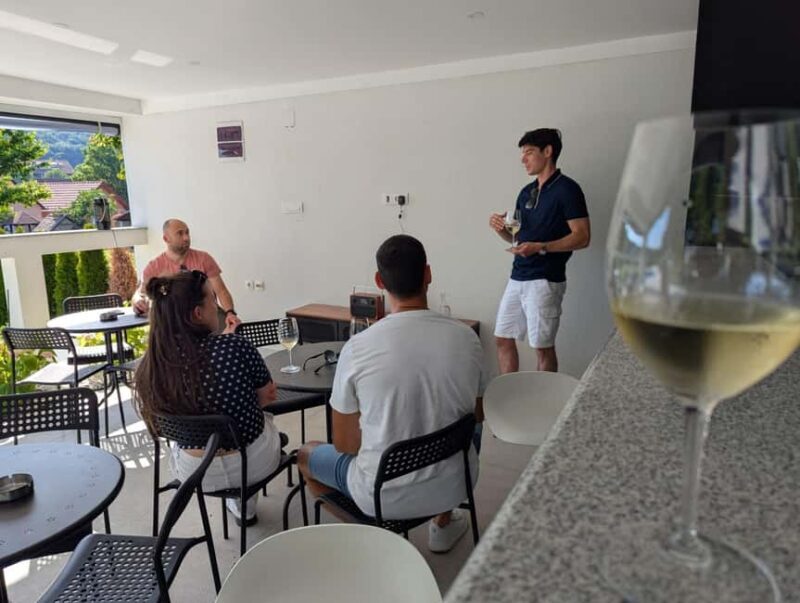 Novi Sad: Fruka Gora Wine Tasting with Local Bites - Good To Know