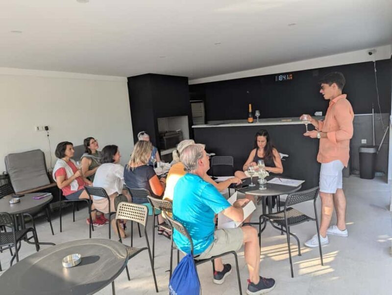 Novi Sad: Fruka Gora Wine Tasting with Local Bites - A Closer Look at the Experience