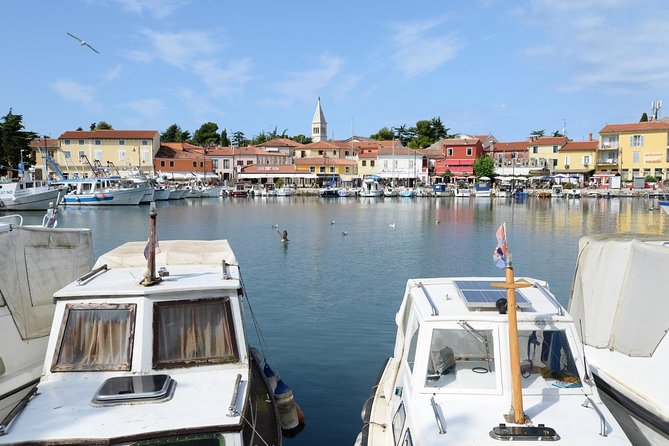 Novigrad Walking Food Tour - Good To Know