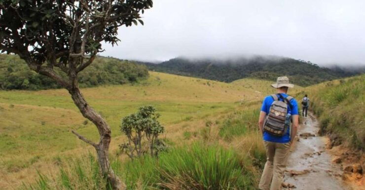 Nuawara Eliya: Horton Plains and Tea All-Inclusive Tour - Tour Experience