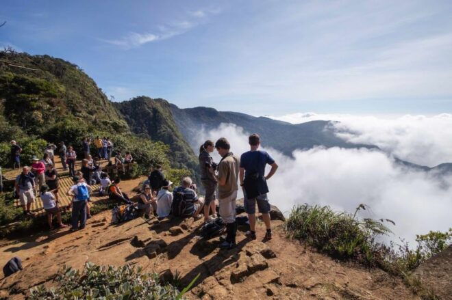Nuawara Eliya: Horton Plains and Tea All-Inclusive Tour - Highlights of the Tour