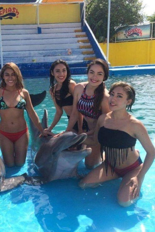 Nuevo Vallarta: Dolphin Experience at Splash Water Park - Good To Know