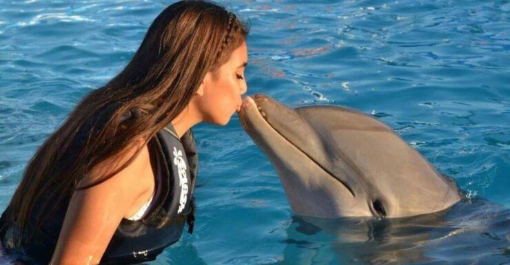 Nuevo Vallarta: Dolphin Experience at Splash Water Park - Pricing and Reservation