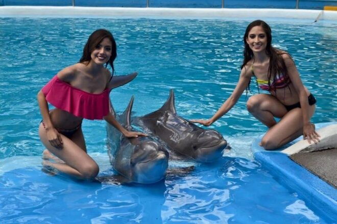 Nuevo Vallarta: Dolphin Experience at Splash Water Park - Amenities