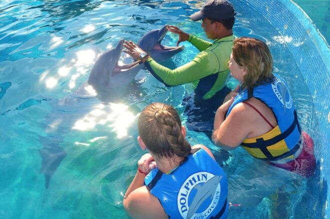 Nuevo Vallarta: Dolphin Royal Swim at Aquaventuras Park - Park Admission and Facilities