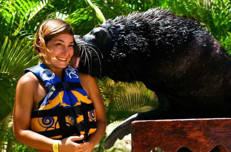 Nuevo Vallarta: Sea Lion Discovery at Aquaventuras Park - Good To Know