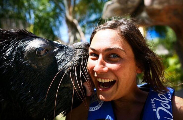 Nuevo Vallarta: Sea Lion Discovery at Aquaventuras Park - Sea Lion Encounter Details
