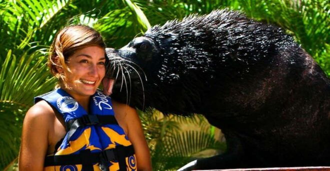 Nuevo Vallarta: Sea Lion Discovery at Aquaventuras Park - Interactive Games and Tricks