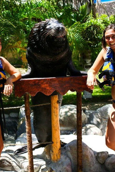Nuevo Vallarta: Sea Lion Discovery at Aquaventuras Park - Frequently Asked Questions
