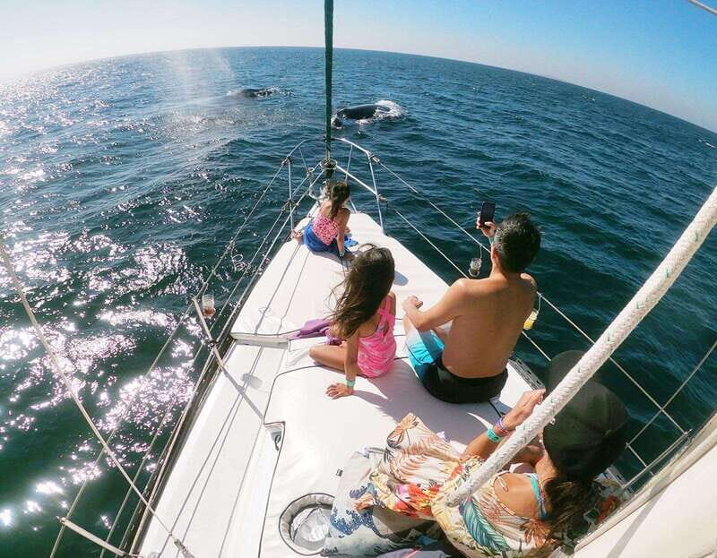 Nuevo Vallarta: Whale Watching by Sailboat Tour - Why This Tour Offers Good Value