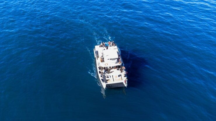Nuevo Vallarta: Whale Watching Tour on the Triton Catamaran - Tour Experience Overview