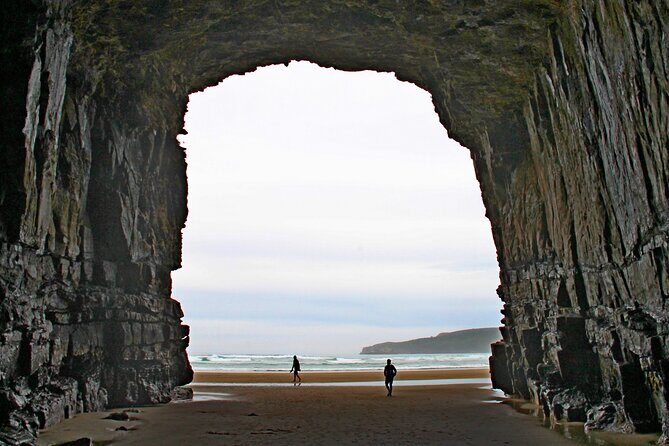 Nugget Point and Cathedral Caves Private Tour from Dunedin - Good To Know