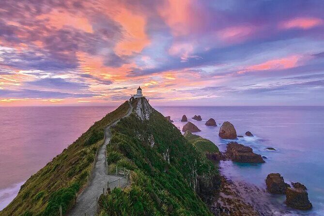 Nugget Point and Cathedral Caves Private Tour from Dunedin - What’s Included and What’s Not