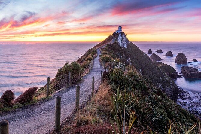 Nugget Point and Cathedral Caves Private Tour from Dunedin - Practical Tips for Travelers