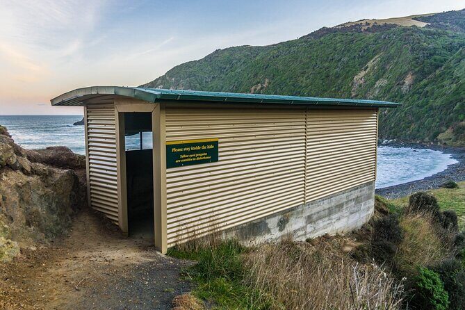 Nugget Point and Cathedral Caves Private Tour from Dunedin - Who Should Consider This Tour?