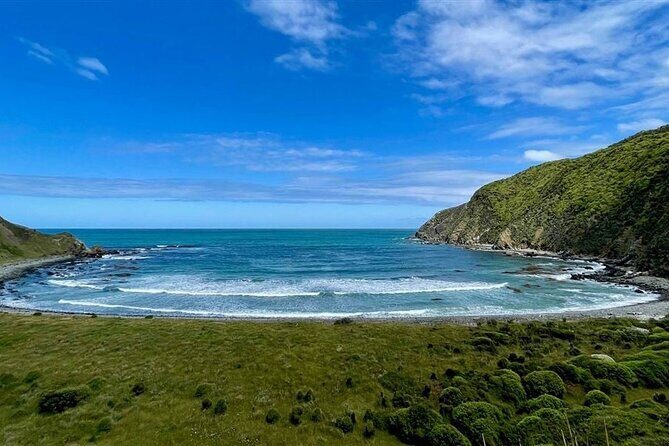 Nugget Point and Cathedral Caves Private Tour from Dunedin - Final Thoughts