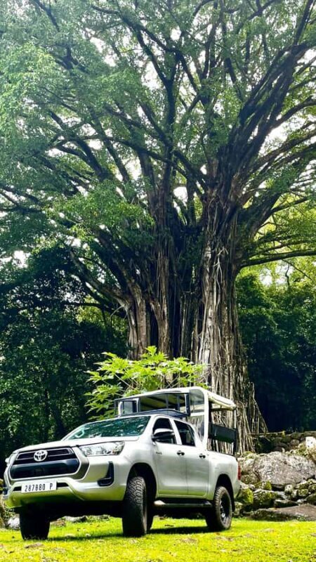 Nuku Hiva: 3 Valleys Tour, Taipivai, Hatiheu, and Aakapa - Good To Know