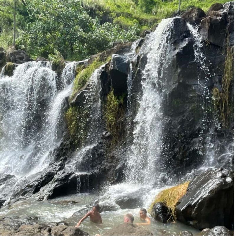 Nuku Hiva: Excursion to the top of the Vaipo waterfall. - Who Is This Tour Best For?