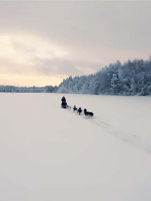 Nulkki Husky Adventure - The Experience: What to Expect from the Husky Adventure