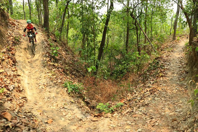 Numb Trail Mountain Biking Tour Chiang Mai - Reviews