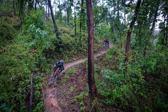 Numb Trail Mountain Biking Tour Chiang Mai - The Sum Up