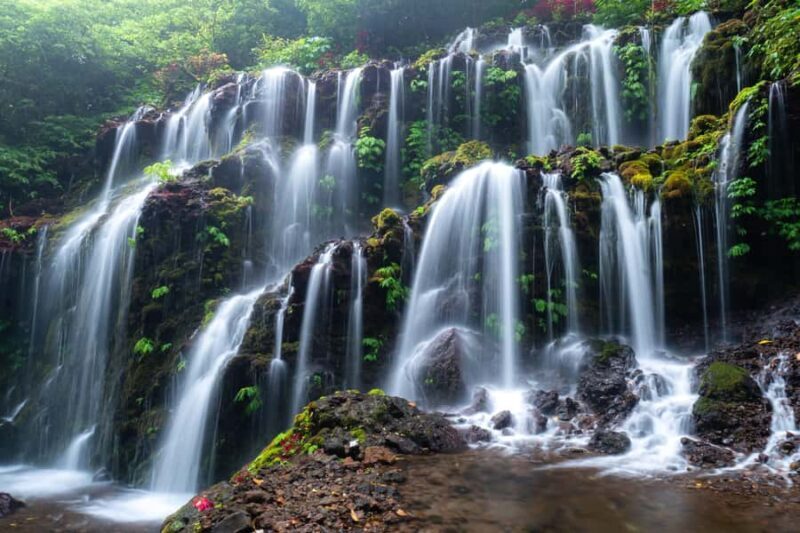Nungnung Waterfall & Jatiluwih Rice Fields Tour - Good To Know