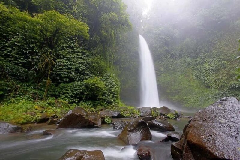 Nungnung Waterfall & Jatiluwih Rice Fields Tour - Why This Tour Is Worth It