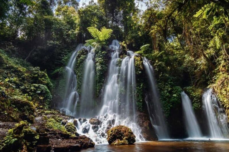 Nungnung Waterfall & Jatiluwih Rice Fields Tour - FAQ