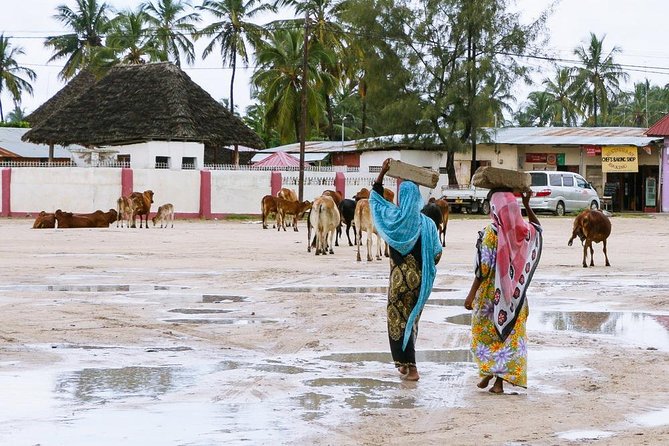 Nungwi Cultural Village Tour - Customer Reviews