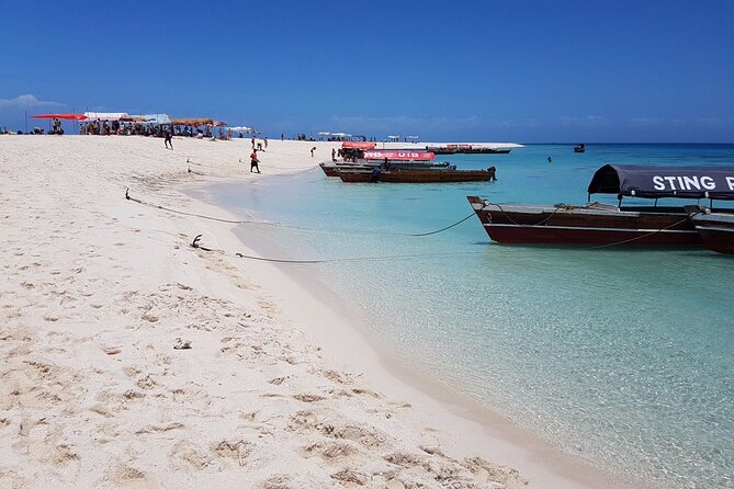 Nungwi Turtles and Cruise Excursion - Zanzibar - Inclusions and Pickup Information