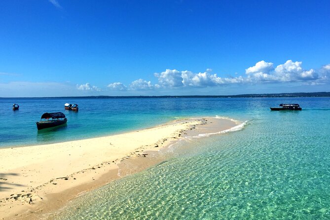 Nungwi Turtles and Cruise Excursion - Zanzibar - Pricing and Reservation Details