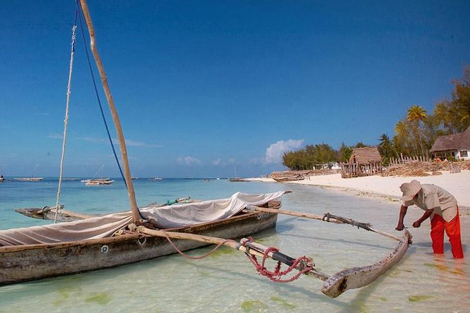 Nungwi Turtles and Cruise Excursion - Zanzibar - Cancellation Policy Overview