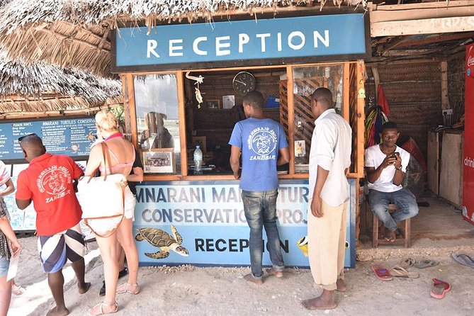 Nungwi Turtles and Cruise Excursion - Zanzibar - The Sum Up