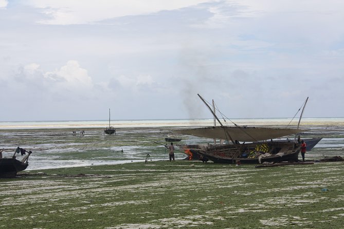 Nungwi Village Tour - Cancellation Policy