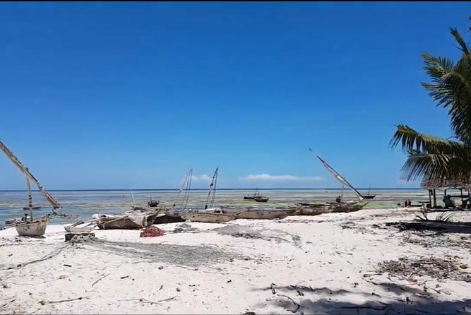 Nungwi Village Tour - Frequently Asked Questions