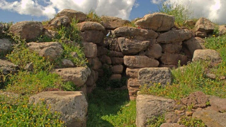 Nuoro: Archaeological Tour in Borore With Tasting - Experience the Nuraghi