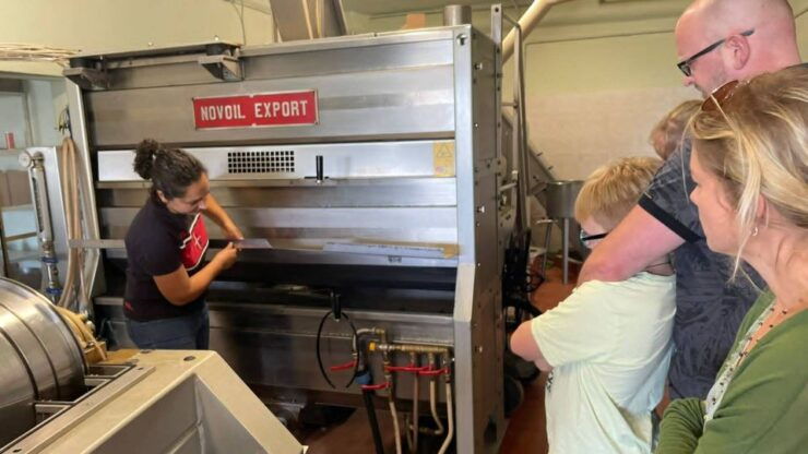 Nuoro: Visit an Oil Mill With Oil Tasting - Experience Highlights