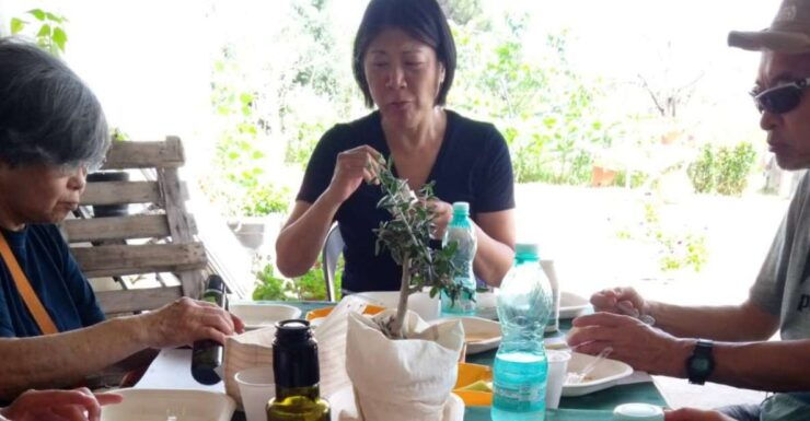 Nuoro: Visit an Oil Mill With Oil Tasting - Full Experience Description