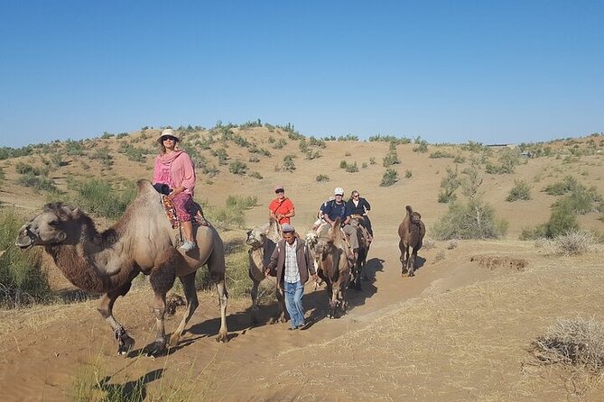 Nurata Mountain & Kyzyl-kum Desert 3 Day Tour From Samarkand or Bukhara - Good To Know