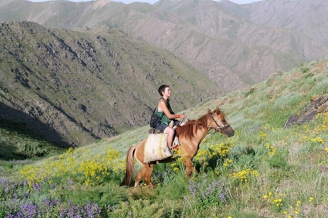Nurata Mountain & Kyzyl-kum Desert 3 Day Tour From Samarkand or Bukhara - Review