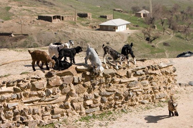 Nuratau Home Stay Observe and Live the Uzbek Rural Life - Inclusions and Amenities