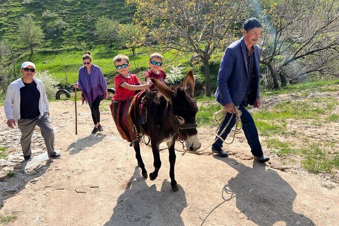 Nuratau Village Home Stay and Hiking tours from Bukhara - Who Is This Tour Best For?