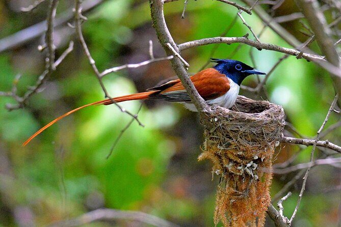 Nuratau Village Home Stay and Hiking tours from Bukhara - Authenticity and Local Guides
