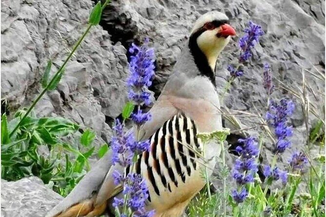 Nuratau Village Home Stay and Hiking tours from Bukhara - Final Thoughts: Is This Tour for You?