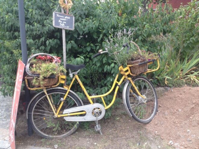 Nürnberg: Culinary Bike Tour - Common Questions