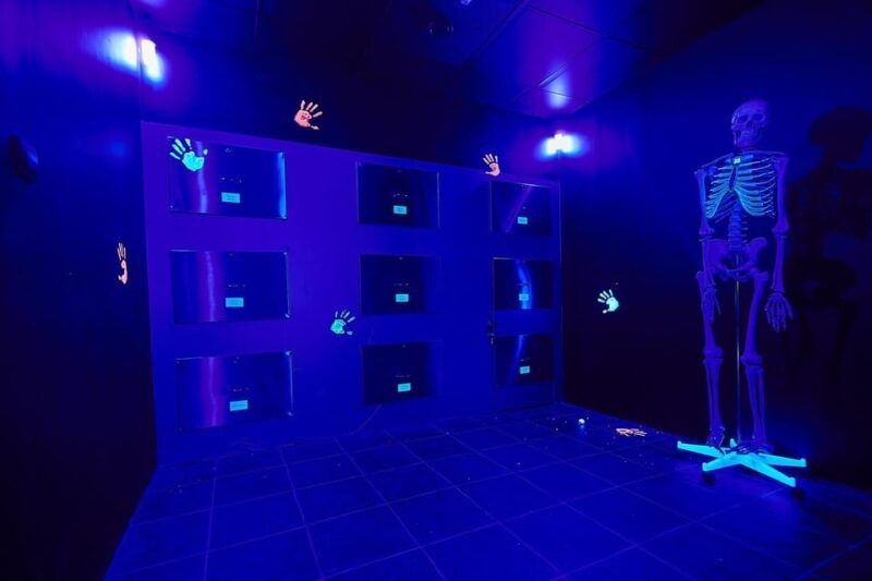 Nürnberg: Secret Surgery Escape Room Game - Nürnberg: Secret Surgery Escape Room Game – An Adventure Worth Trying