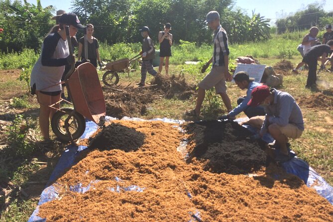 Nursing Forest Plants and Appreciating Biodiversity - Sustainable Tour - Tour Highlights