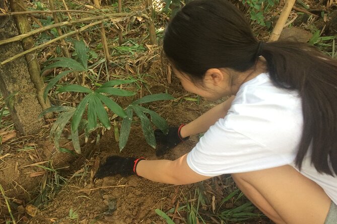 Nursing Forest Plants and Appreciating Biodiversity - Sustainable Tour - Sustainable Transportation